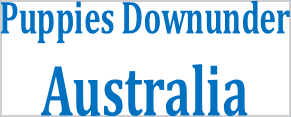 Puppies Down Under